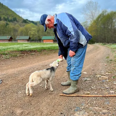 ゲストハウス Farma Sotira Leskovik