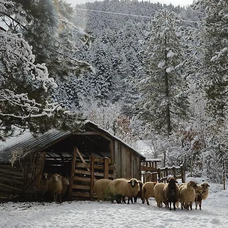 Farma Sotira ゲストハウス 3*