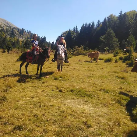 Gasthuis Horse Riding Albania Leskovik