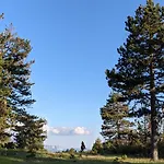 Farma Sotira Gasthof Leskovik