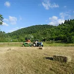 Gasthof Farma Sotira Leskovik