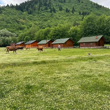 Horse Riding Albania Πανσιόν