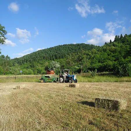게스트하우스 Horse Riding Albania Leskovik