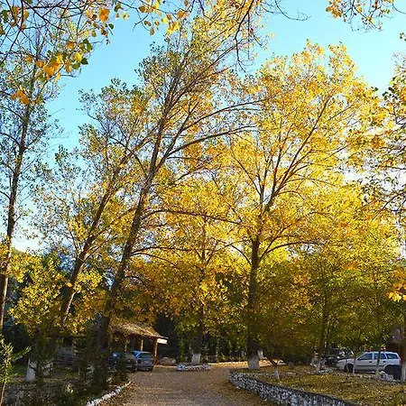 Farma Sotira