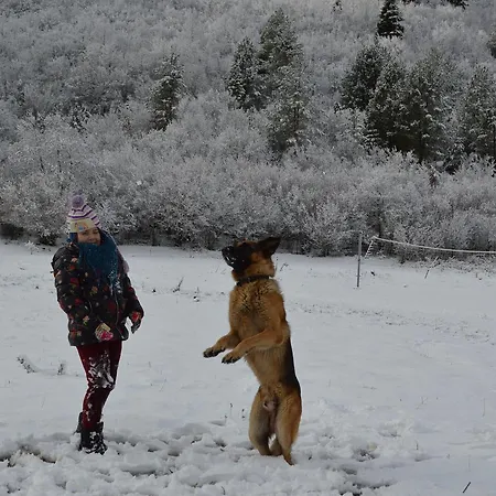 Horse Riding Albania 3* Leskovik