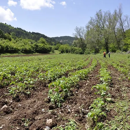Vendégház Farma Sotira
