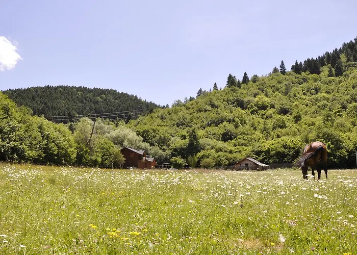 Farma Sotira 3* Leskovik